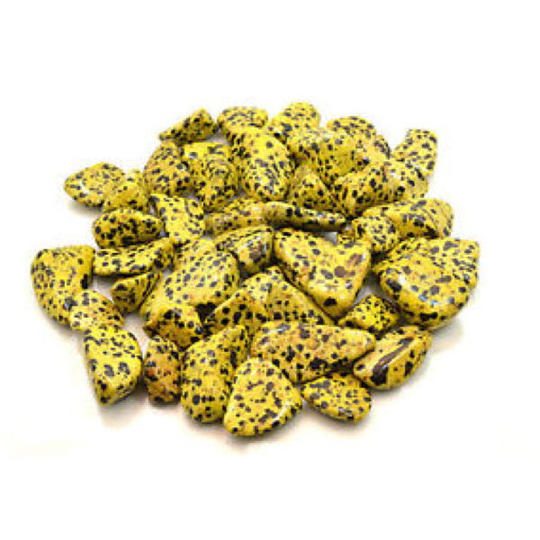 Tumble Jasper Dalmatian Yellow